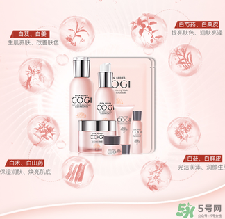 高姿大白水一套多少錢？高姿大白水多少錢一瓶？