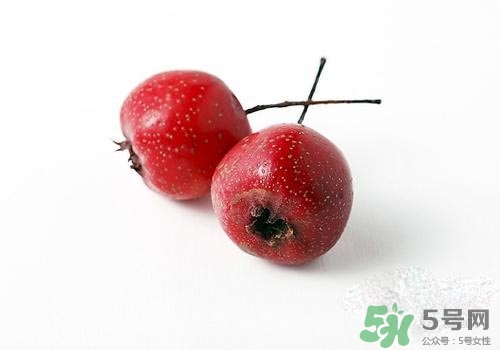 孕婦可以吃山楂嗎？孕婦吃山楂好嗎？