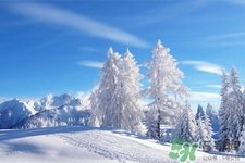 下雪天適合吃什么？下雪天吃什么食物好？