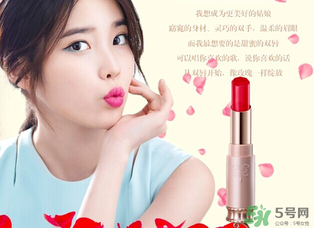 巧迪尚惠是哪個國家的？巧迪尚惠是幾線品牌？