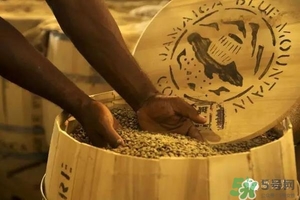 綠山咖啡和藍(lán)山咖啡有什么區(qū)別？