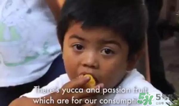 綠山咖啡和藍(lán)山咖啡有什么區(qū)別？