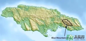 綠山咖啡和藍(lán)山咖啡有什么區(qū)別？