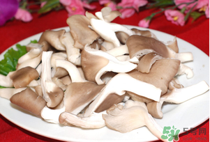 孕婦可以吃平菇嗎？孕婦吃平菇有什么好處？