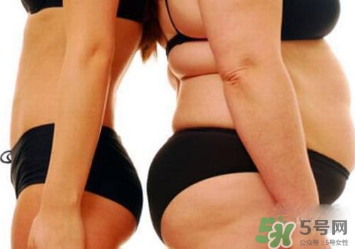 減肥反彈了還能再瘦下來嗎？減肥反彈后會(huì)不會(huì)難以再減了？