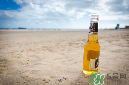 椰汁和啤酒可以一起喝嗎?一起喝會怎么樣呢 椰汁和啤酒可以一起喝嗎?一起喝會怎么樣呢