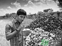 椰汁和啤酒可以一起喝嗎?一起喝會怎么樣呢 椰汁和啤酒可以一起喝嗎?一起喝會怎么樣呢