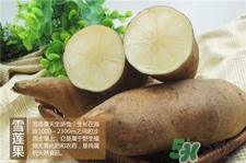 雪蓮果切開怎么保存?雪蓮果切開變色能吃嗎? 雪蓮果切開怎么保存?雪蓮果切開變色能吃嗎?