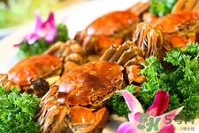 寶寶能吃螃蟹嗎？寶寶可以吃螃蟹肉嗎？