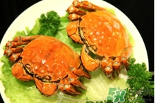 寶寶能吃螃蟹嗎？寶寶可以吃螃蟹肉嗎？