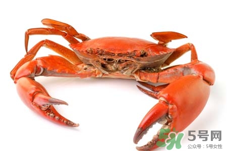 8個(gè)月寶寶能吃螃蟹稀飯嗎？八個(gè)月的寶寶能吃螃蟹嗎？