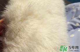 樂町羽絨服質(zhì)量怎么樣?樂町羽絨服保暖性好嗎? 樂町羽絨服質(zhì)量怎么樣?樂町羽絨服保暖性好嗎?