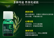the body shop茶樹精油怎么用？美體小鋪茶樹精油怎么打開