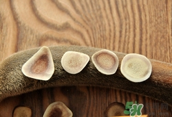 吃鹿茸會長胖嗎?鹿茸會發(fā)胖嗎 吃鹿茸會長胖嗎?鹿茸會發(fā)胖嗎