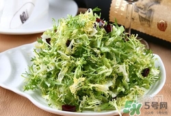 苦菊可以減肥嗎？苦菊怎么吃可以減肥？