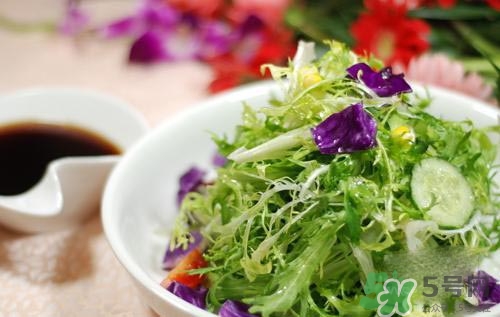 苦菊可以減肥嗎？苦菊怎么吃可以減肥？