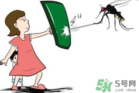 冬天為什么會有蚊子？冬天家里有蚊子怎么辦？