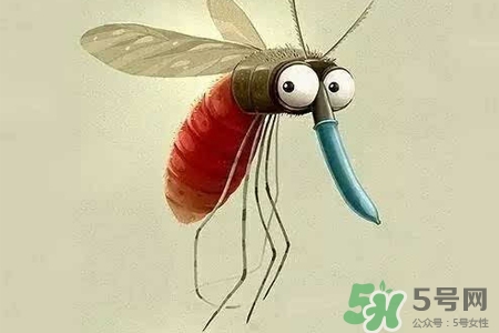 冬天為什么會有蚊子？冬天家里有蚊子怎么辦？