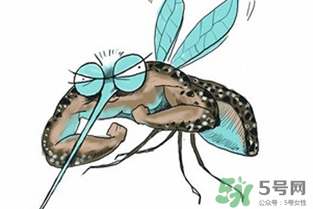 冬天為什么會有蚊子？冬天家里有蚊子怎么辦？