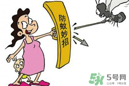 冬天為什么會有蚊子？冬天家里有蚊子怎么辦？