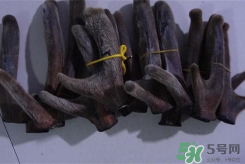 鹿茸和人參能一起泡酒嗎?鹿茸和人參怎么泡酒 鹿茸和人參能一起泡酒嗎?鹿茸和人參怎么泡酒