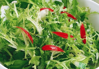 苦菊不能和什么一起吃？苦菊和什么一起吃好？