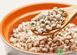 吃高粱米有什么好處?高粱米的營(yíng)養(yǎng)價(jià)值