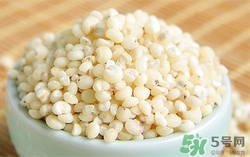 吃高粱米有什么好處?高粱米的營(yíng)養(yǎng)價(jià)值