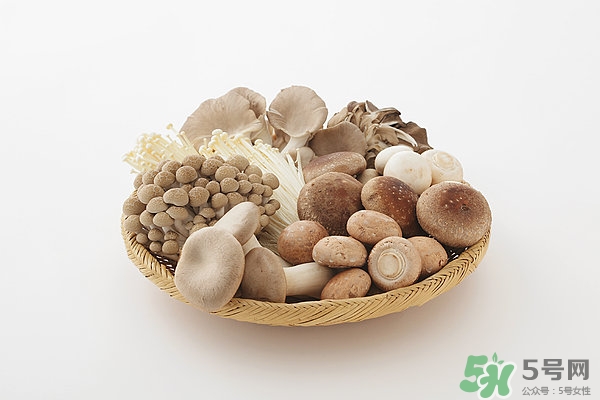 洋菇的營(yíng)養(yǎng)價(jià)值 洋菇的功效與作用 洋菇的營(yíng)養(yǎng)價(jià)值 洋菇的功效與作用