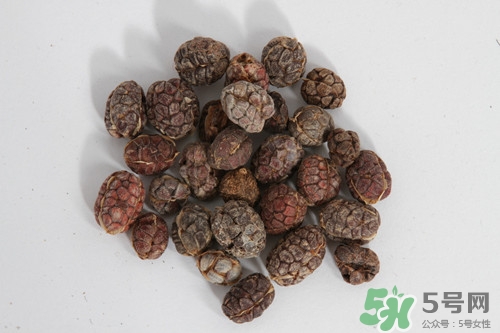 砂仁是什么東西?吃砂仁有什么好處 砂仁是什么東西?吃砂仁有什么好處