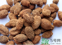 砂仁是什么東西?吃砂仁有什么好處 砂仁是什么東西?吃砂仁有什么好處