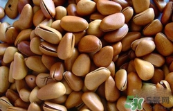 吃松子上火嗎？吃松子上火了怎么辦？