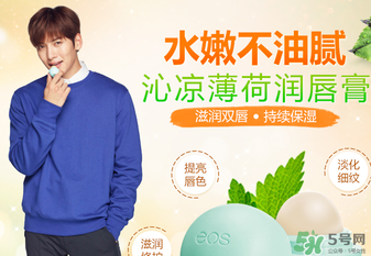 eos潤唇球多少錢？eos唇膏正版價格