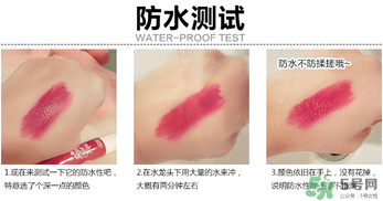 愛麗小屋氣墊口紅色號 愛麗小屋氣墊口紅試色 愛麗小屋氣墊口紅色號 愛麗小屋氣墊口紅試色