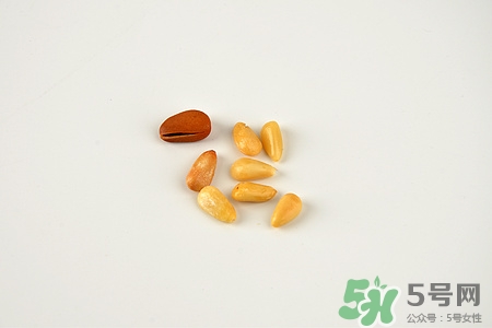 松子可以生吃嗎?松子生吃好還是熟吃好 松子可以生吃嗎?松子生吃好還是熟吃好