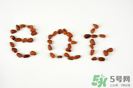 松子可以生吃嗎?松子生吃好還是熟吃好 松子可以生吃嗎?松子生吃好還是熟吃好