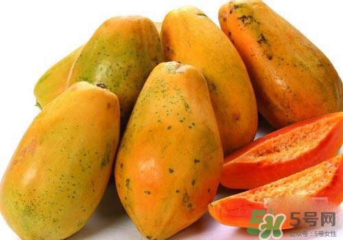 青木瓜是木瓜嗎？青木瓜和木瓜的區(qū)別