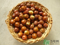 寶寶可以吃酸棗嗎?寶寶吃酸棗好嗎 寶寶可以吃酸棗嗎?寶寶吃酸棗好嗎