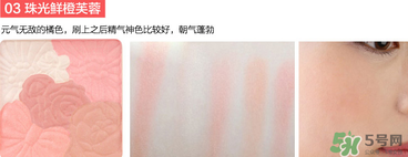 canmake花瓣腮紅珠光還是啞光好？canmake腮紅珠光好看還是啞光？