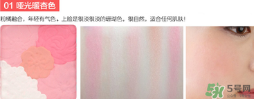 canmake花瓣腮紅珠光還是啞光好？canmake腮紅珠光好看還是啞光？