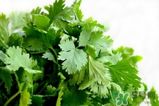 香菜可以治雀斑嗎?香菜去雀斑的方法 香菜可以治雀斑嗎?香菜去雀斑的方法