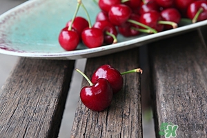 車?yán)遄涌梢苑哦嗑?車?yán)遄涌梢苑疟鋯? 車?yán)遄涌梢苑哦嗑?車?yán)遄涌梢苑疟鋯?