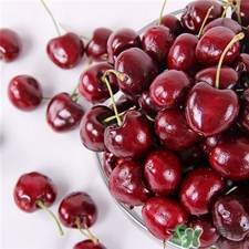 車厘子孕婦能吃嗎?孕婦吃車厘子對胎兒有什么好處? 車厘子孕婦能吃嗎?孕婦吃車厘子對胎兒有什么好處?