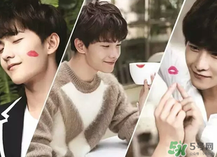 嬌蘭344和325哪個(gè)好看？嬌蘭344和325對(duì)比