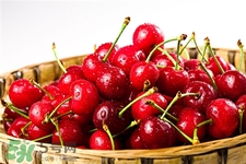 車?yán)遄拥臓I(yíng)養(yǎng)價(jià)值 車?yán)遄拥墓πc作用