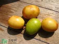 酸棗糕上火嗎?吃酸棗糕上火怎么辦 酸棗糕上火嗎?吃酸棗糕上火怎么辦