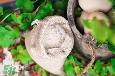 粳米和秈米哪個(gè)好吃?粳米和秈米的區(qū)別 粳米和秈米哪個(gè)好吃?粳米和秈米的區(qū)別