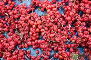 五味子茶韓國(guó)怎么喝？五味子茶的五種味道代表什么？