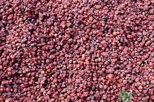 五味子茶韓國(guó)怎么喝？五味子茶的五種味道代表什么？