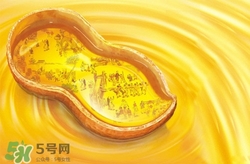 玉米油可以炸東西嗎?玉米油炸東西好嗎 玉米油可以炸東西嗎?玉米油炸東西好嗎